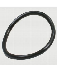 935-00069 -Ring, for PTC1 Cell Body